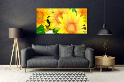 Skleneny obraz Slnečnica kvet príroda