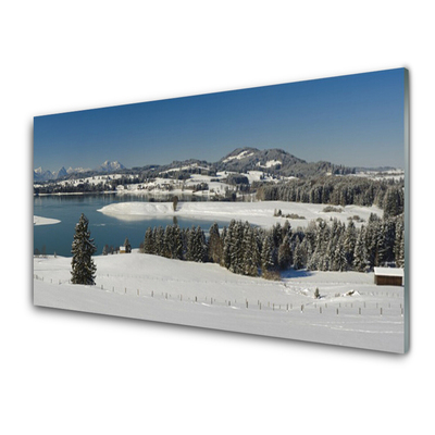 Skleneny obraz Jazero sneh príroda hory