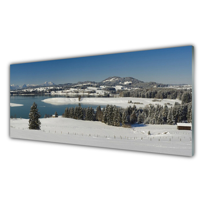 Skleneny obraz Jazero sneh príroda hory