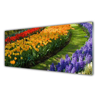 Skleneny obraz Kvety záhrada tulipány