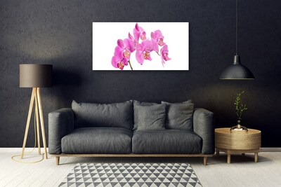 Skleneny obraz Orchidea kvety príroda