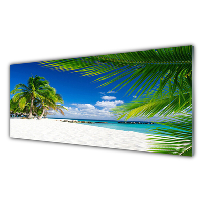 Skleneny obraz Tropická pláž more výhľad
