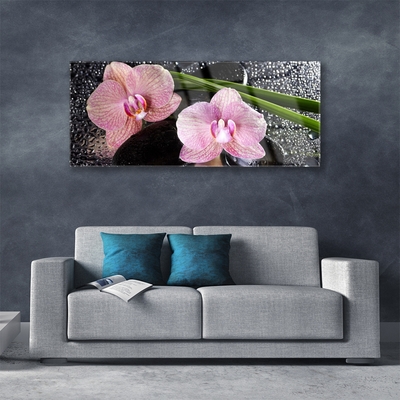 Skleneny obraz Kvety orchidea kamene zen