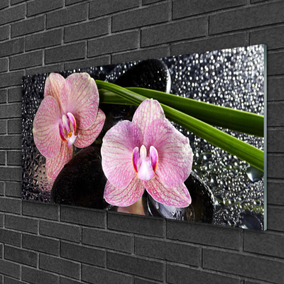 Skleneny obraz Kvety orchidea kamene zen