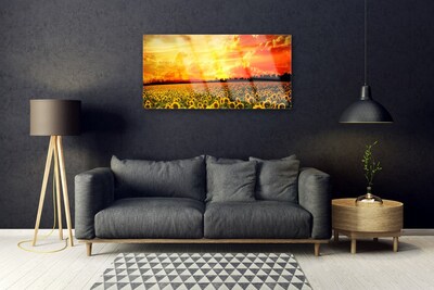 Skleneny obraz Lúka slnečnica kvety