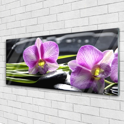 Skleneny obraz Orchidea kamene zen kúpele
