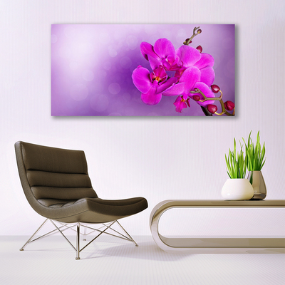 Skleneny obraz Kvety plátky orchidea