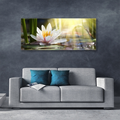 Skleneny obraz Vodné lilie slnko rybník