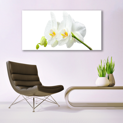 Skleneny obraz Plátky kvet bíla orchidea