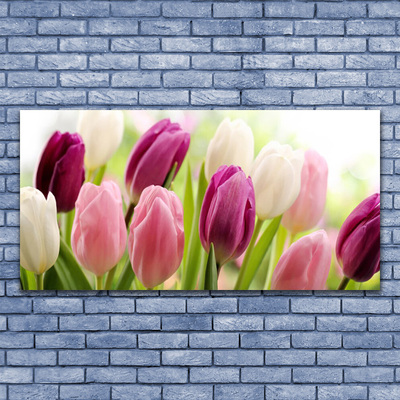 Skleneny obraz Tulipány kvety príroda lúka