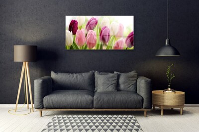 Skleneny obraz Tulipány kvety príroda lúka