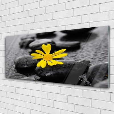 Skleneny obraz Kvet kamene rastlina kúpele