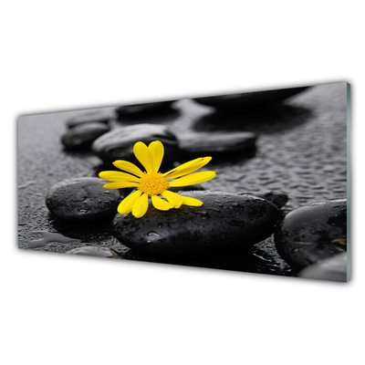 Skleneny obraz Kvet kamene rastlina kúpele