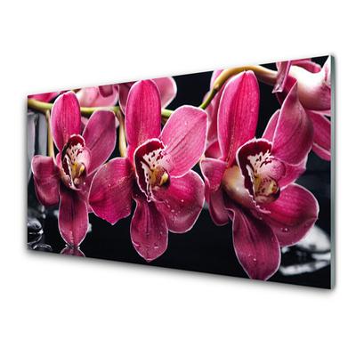 Skleneny obraz Kvety orchidey výhonky príroda