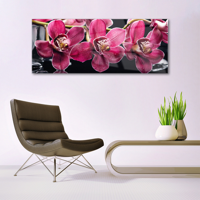 Skleneny obraz Kvety orchidey výhonky príroda