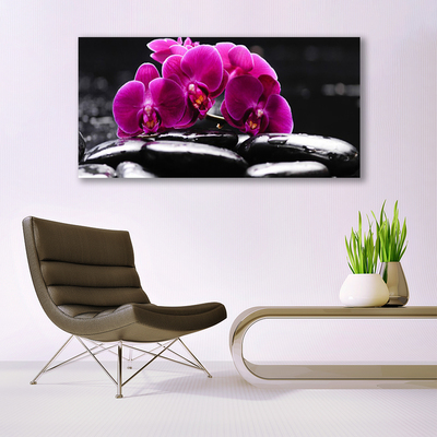 Skleneny obraz Kamene zen orchidea kúpele