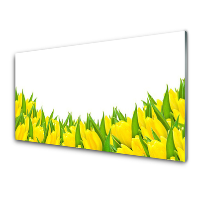 Skleneny obraz Kvety príroda tulipány