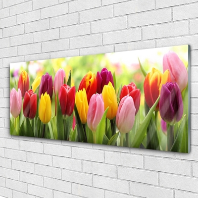 Skleneny obraz Tulipány kvety príroda