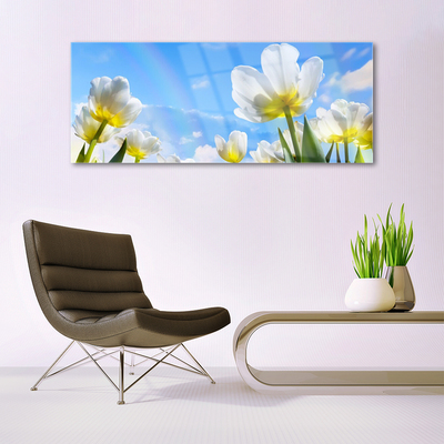 Skleneny obraz Rastliny kvety tulipány