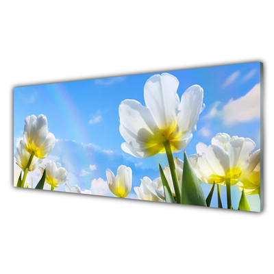 Skleneny obraz Rastliny kvety tulipány