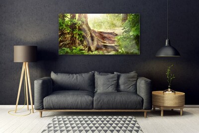 Skleneny obraz Strom kmeň príroda les