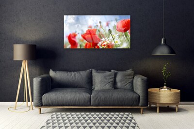 Skleneny obraz Maky sedmokrásky kvety
