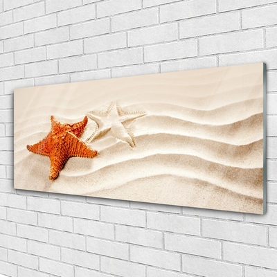Skleneny obraz Hviezdice na piesku pláž