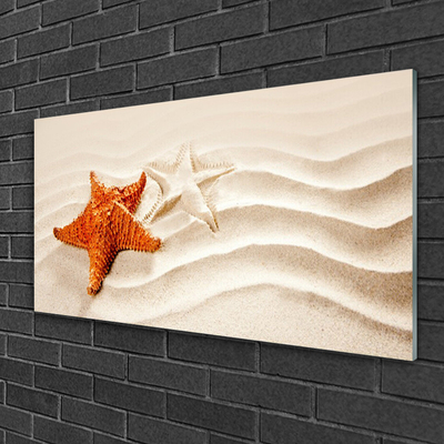 Skleneny obraz Hviezdice na piesku pláž