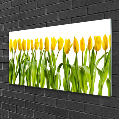 Skleneny obraz Tulipány kvety príroda