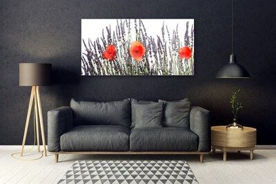 Skleneny obraz Kvety maky pole trávy