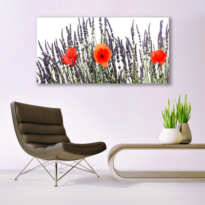 Skleneny obraz Kvety maky pole trávy