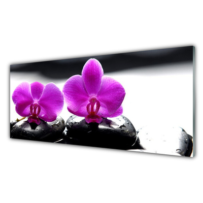Skleneny obraz Kvety kamene zen kúpele
