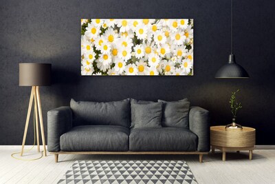 Skleneny obraz Sedmokrásky kvety