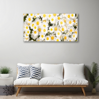 Skleneny obraz Sedmokrásky kvety