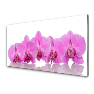 Skleneny obraz Ružová orchidea kvety