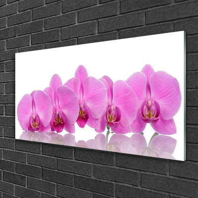 Skleneny obraz Ružová orchidea kvety