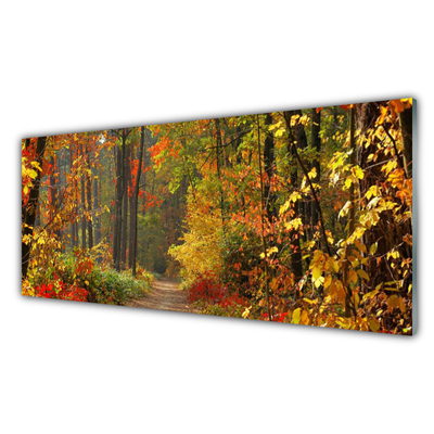 Skleneny obraz Les príroda jeseň