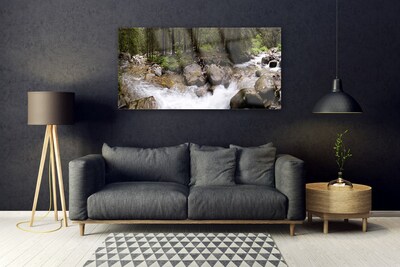 Skleneny obraz Les rieka vodopády