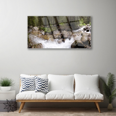 Skleneny obraz Les rieka vodopády