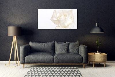 Skleneny obraz Ruže kvety