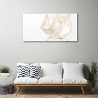Skleneny obraz Ruže kvety