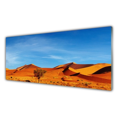 Skleneny obraz Púšť krajina