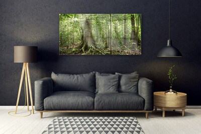 Skleneny obraz Les príroda džungle
