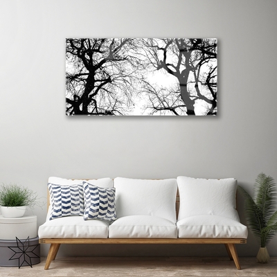 Skleneny obraz Stromy príroda čiernobiely