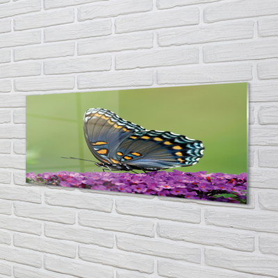 Nástenný panel  Farebný motýľ na kvety