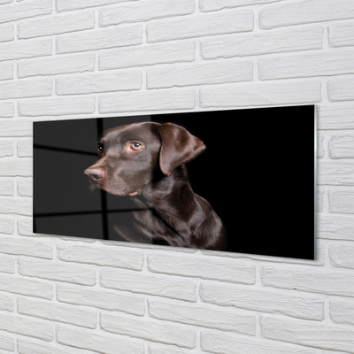 Nástenný panel  hnedý pes