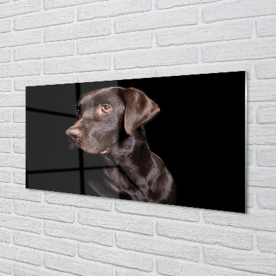 Nástenný panel  hnedý pes