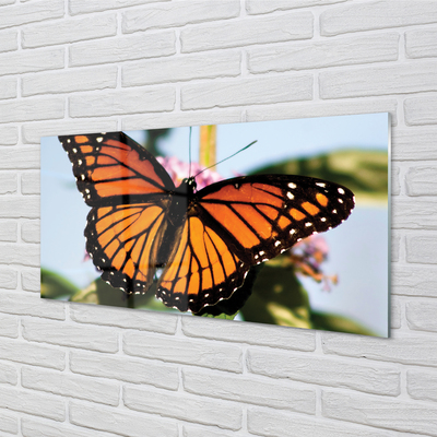 Nástenný panel  farebný motýľ