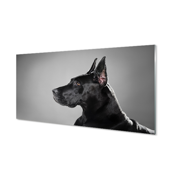 Nástenný panel  Čierny pes
