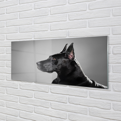 Nástenný panel  Čierny pes